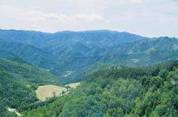 Boschi Parco Nazionale delle Foreste Casentinesi, Monte Falterona, Campigna