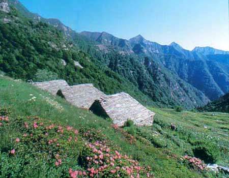 Foto Parco Nazionale della Val Grande