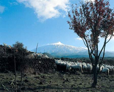 Foto Parco Regionale dell'Etna