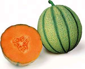 Melone Parco Regionale del Mincio