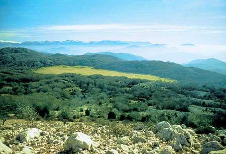 Foto Parco Regionale dei Monti Lucretili